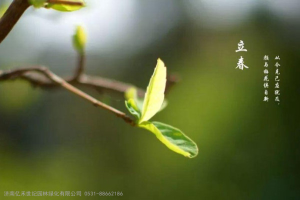 立春后的园林绿化养护要点